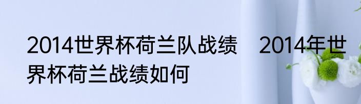 2014世界杯荷兰队战绩　2014年世界杯荷兰战绩如何