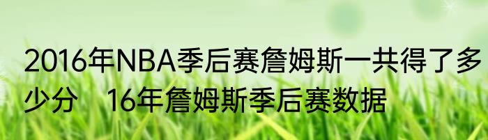 2016年NBA季后赛詹姆斯一共得了多少分　16年詹姆斯季后赛数据