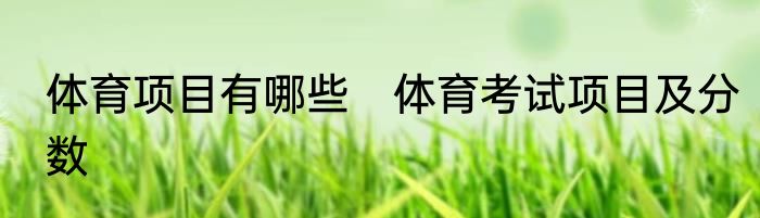 体育项目有哪些　体育考试项目及分数