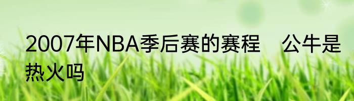 2007年NBA季后赛的赛程　公牛是热火吗