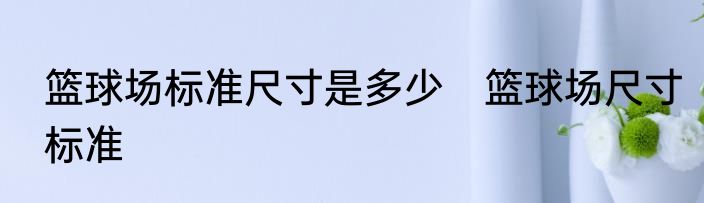 篮球场标准尺寸是多少　篮球场尺寸标准