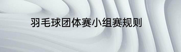 羽毛球团体赛小组赛规则