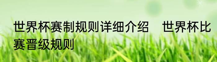 世界杯赛制规则详细介绍　世界杯比赛晋级规则