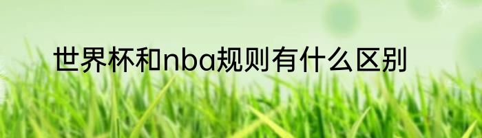 世界杯和nba规则有什么区别
