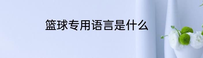 篮球专用语言是什么