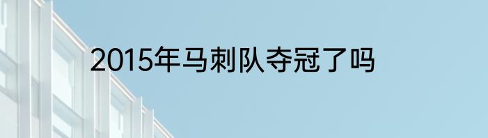 2015年马刺队夺冠了吗