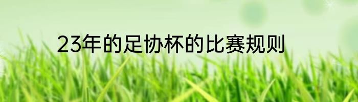 23年的足协杯的比赛规则