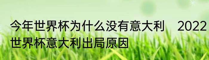 今年世界杯为什么没有意大利　2022世界杯意大利出局原因