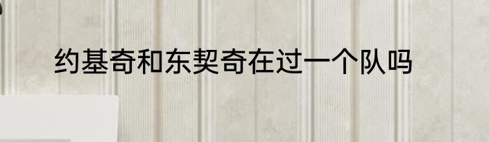 约基奇和东契奇在过一个队吗