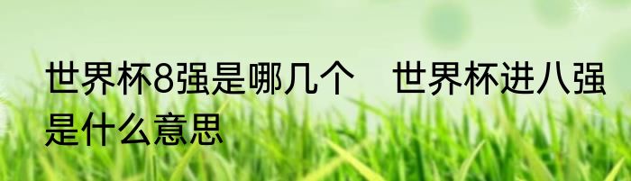 世界杯8强是哪几个　世界杯进八强是什么意思