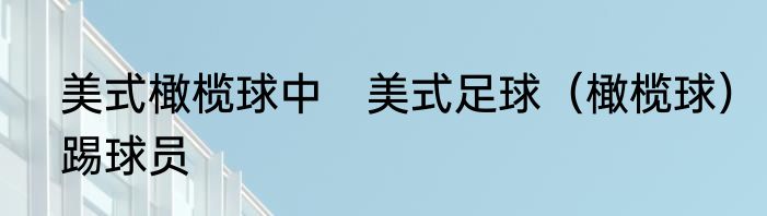 美式橄榄球中　美式足球（橄榄球）踢球员