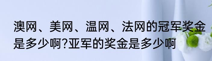 澳网、美网、温网、法网的冠军奖金是多少啊?亚军的奖金是多少啊