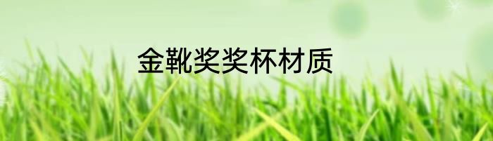 金靴奖奖杯材质