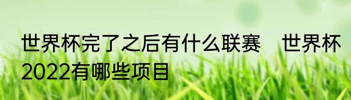 世界杯完了之后有什么联赛　世界杯2022有哪些项目