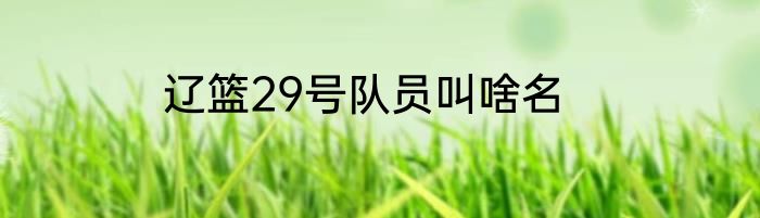 辽篮29号队员叫啥名