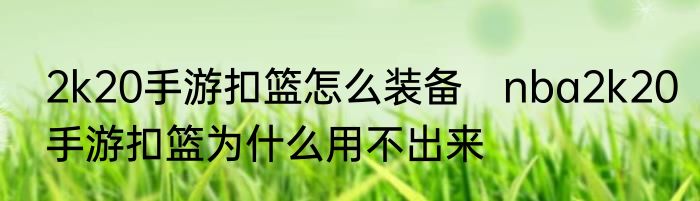 2k20手游扣篮怎么装备　nba2k20手游扣篮为什么用不出来