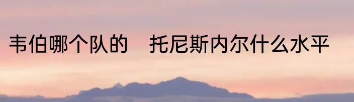 韦伯哪个队的　托尼斯内尔什么水平