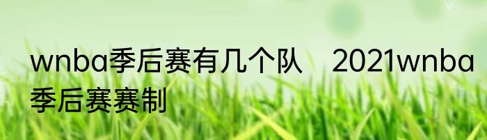 wnba季后赛有几个队　2021wnba季后赛赛制