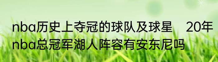 nba历史上夺冠的球队及球星　20年nba总冠军湖人阵容有安东尼吗