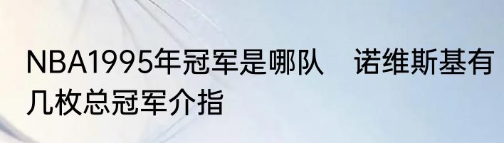 NBA1995年冠军是哪队　诺维斯基有几枚总冠军介指