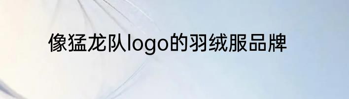 像猛龙队logo的羽绒服品牌