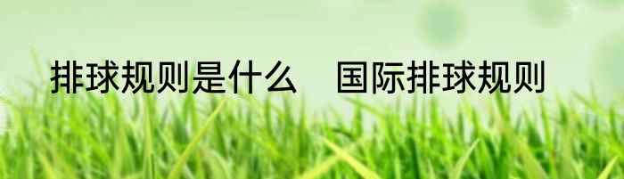 排球规则是什么　国际排球规则