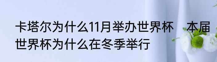 卡塔尔为什么11月举办世界杯　本届世界杯为什么在冬季举行
