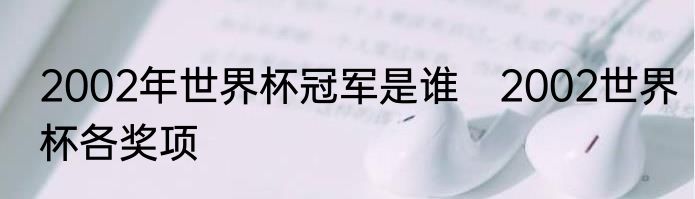 2002年世界杯冠军是谁　2002世界杯各奖项