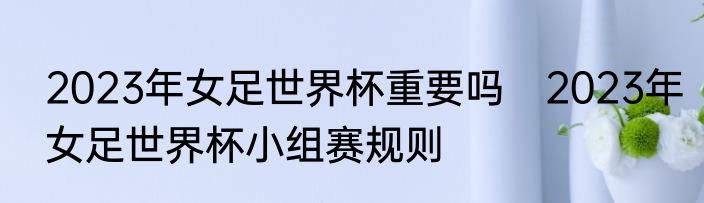 2023年女足世界杯重要吗　2023年女足世界杯小组赛规则