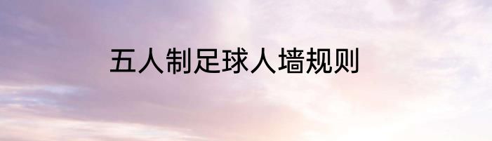 五人制足球人墙规则