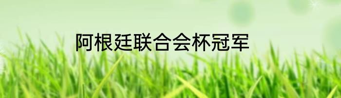 阿根廷联合会杯冠军