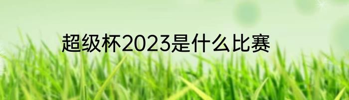 超级杯2023是什么比赛