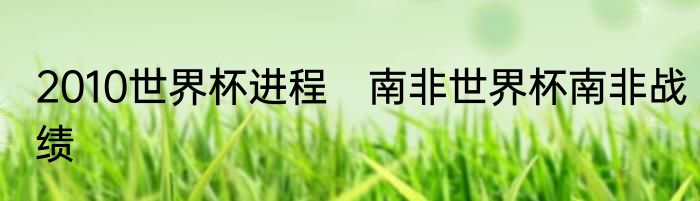 2010世界杯进程　南非世界杯南非战绩