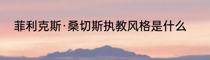 菲利克斯·桑切斯执教风格是什么