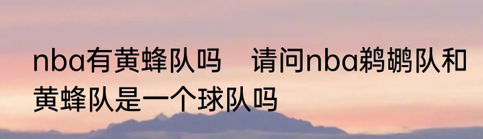 nba有黄蜂队吗　请问nba鹈鹕队和黄蜂队是一个球队吗
