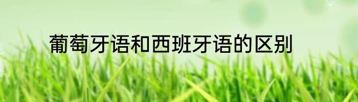 葡萄牙语和西班牙语的区别