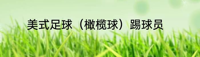 美式足球（橄榄球）踢球员