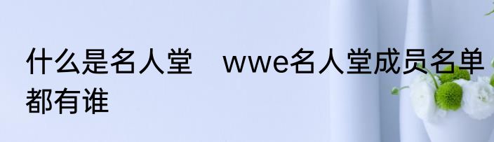 什么是名人堂　wwe名人堂成员名单都有谁