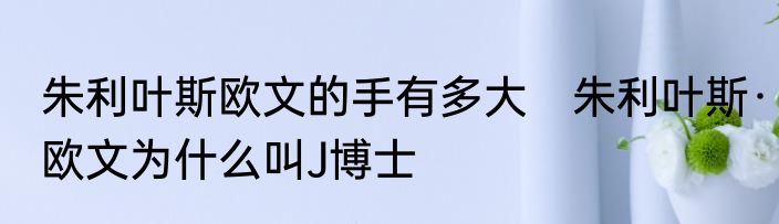 朱利叶斯欧文的手有多大　朱利叶斯·欧文为什么叫J博士