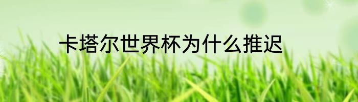 卡塔尔世界杯为什么推迟