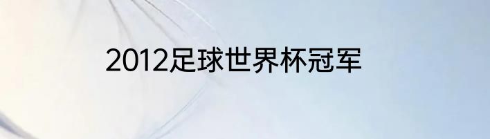 2012足球世界杯冠军
