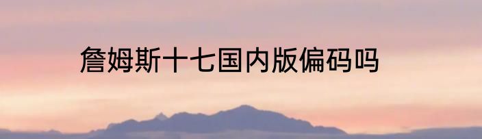 詹姆斯十七国内版偏码吗