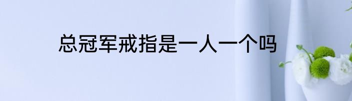 总冠军戒指是一人一个吗