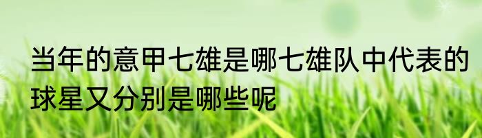 当年的意甲七雄是哪七雄队中代表的球星又分别是哪些呢