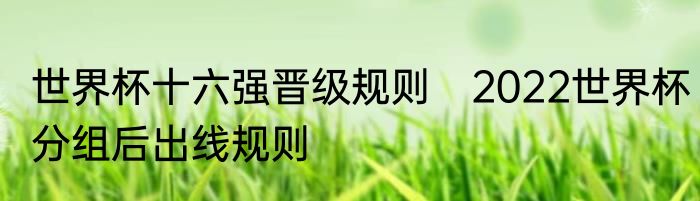 世界杯十六强晋级规则　2022世界杯分组后出线规则