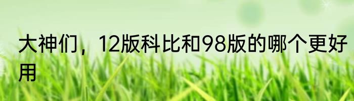 大神们，12版科比和98版的哪个更好用