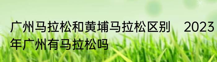 广州马拉松和黄埔马拉松区别　2023年广州有马拉松吗
