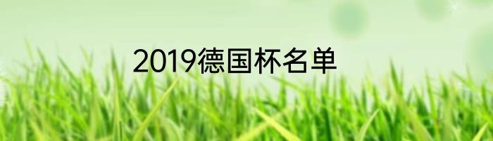 2019德国杯名单
