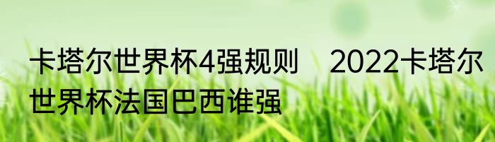 卡塔尔世界杯4强规则　2022卡塔尔世界杯法国巴西谁强