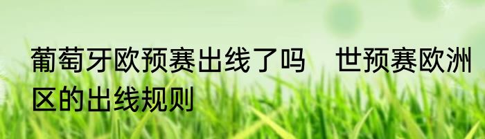 葡萄牙欧预赛出线了吗　世预赛欧洲区的出线规则